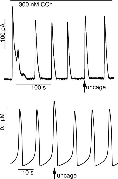 Fig. 4.