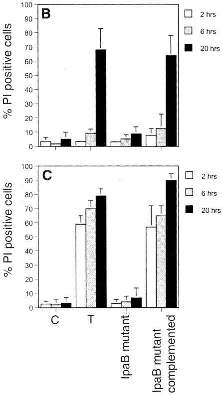 FIG. 1.