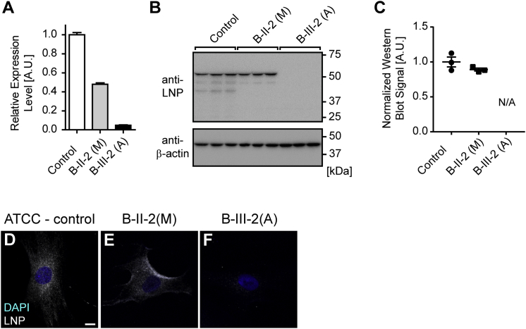 Figure 3