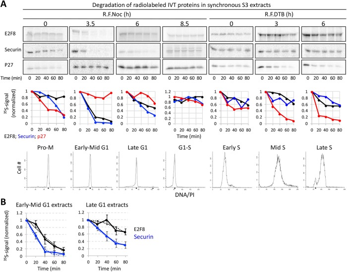 FIGURE 7: