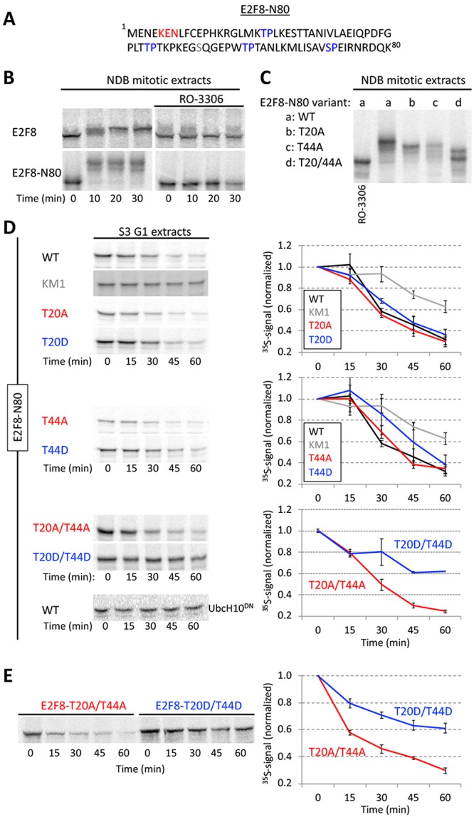 FIGURE 6: