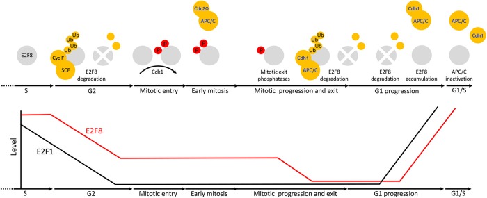 FIGURE 9: