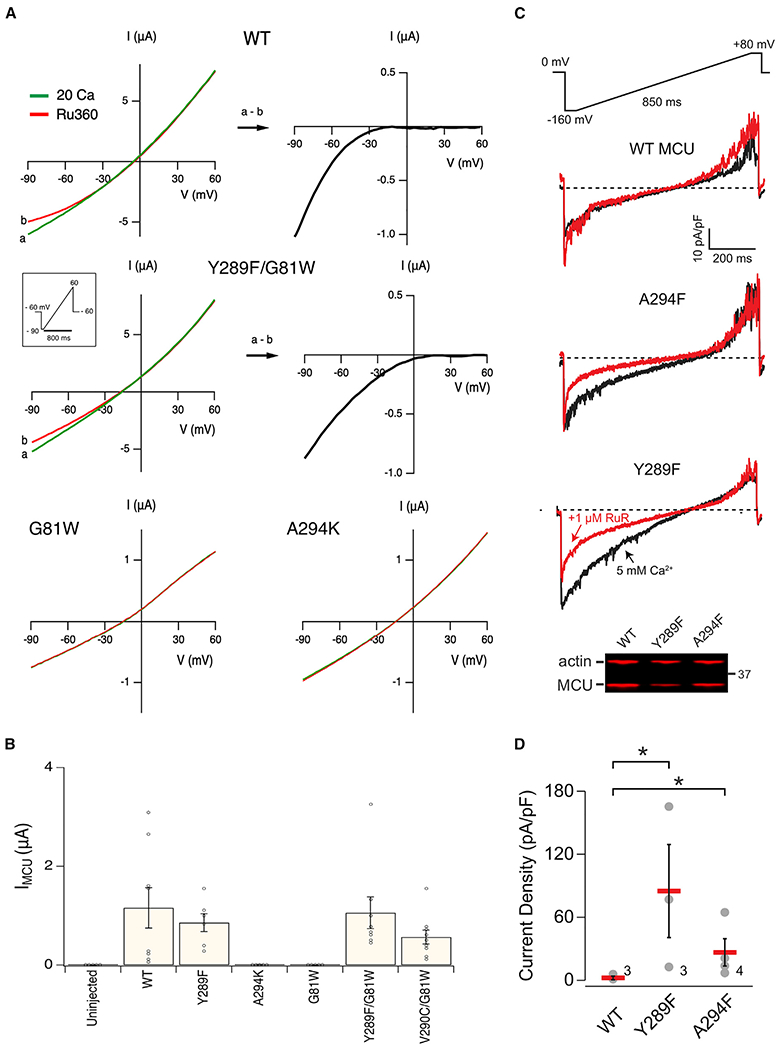 Figure 7.