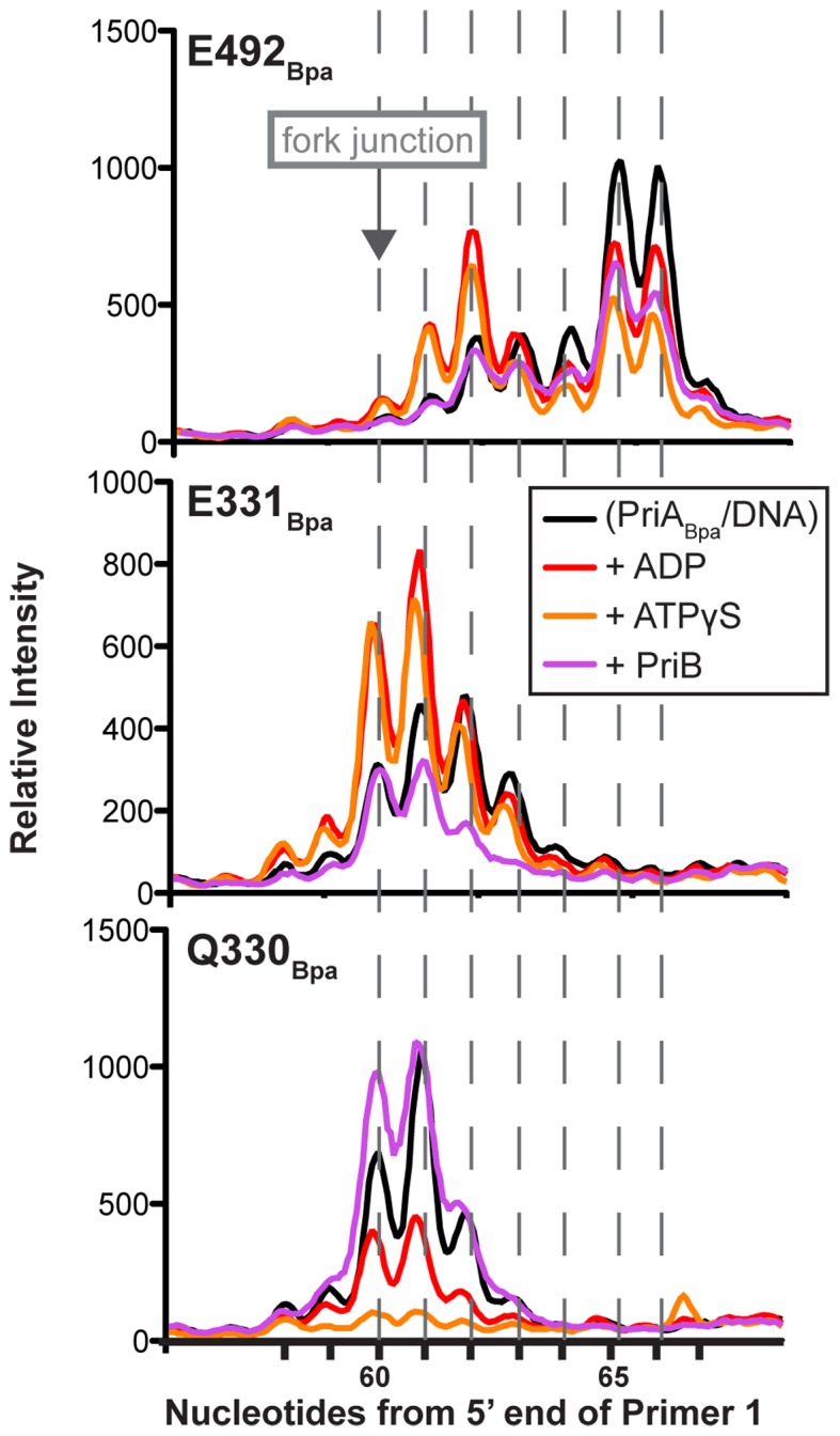 Figure 6.