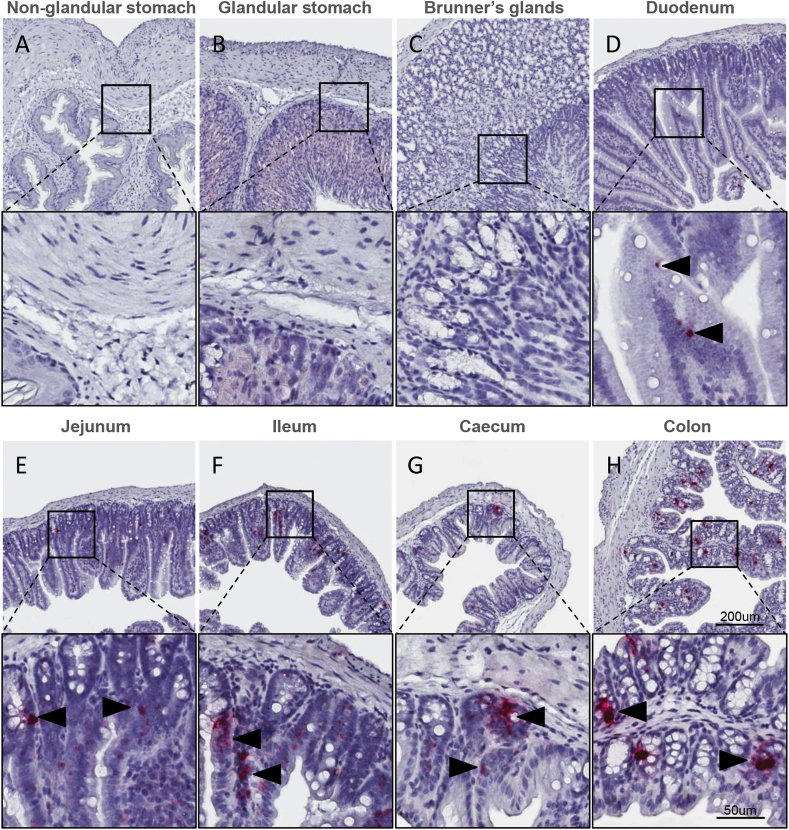 Figure 3