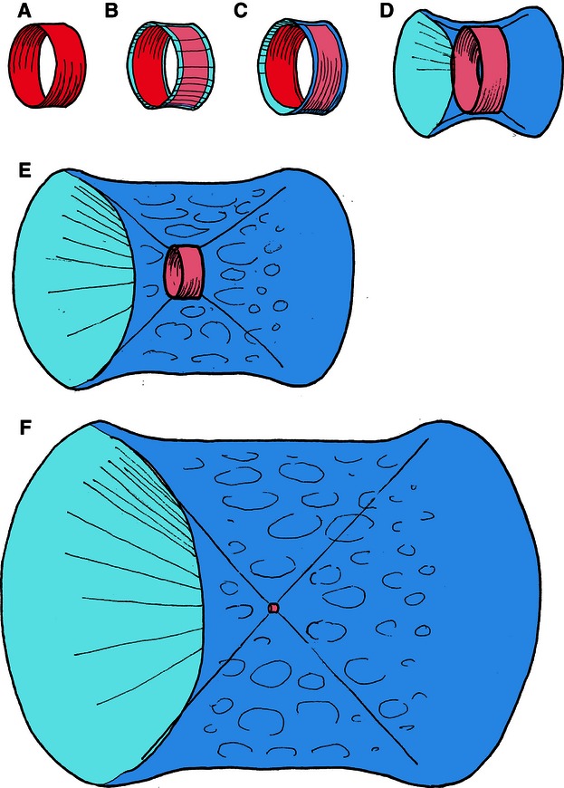 Fig. 7