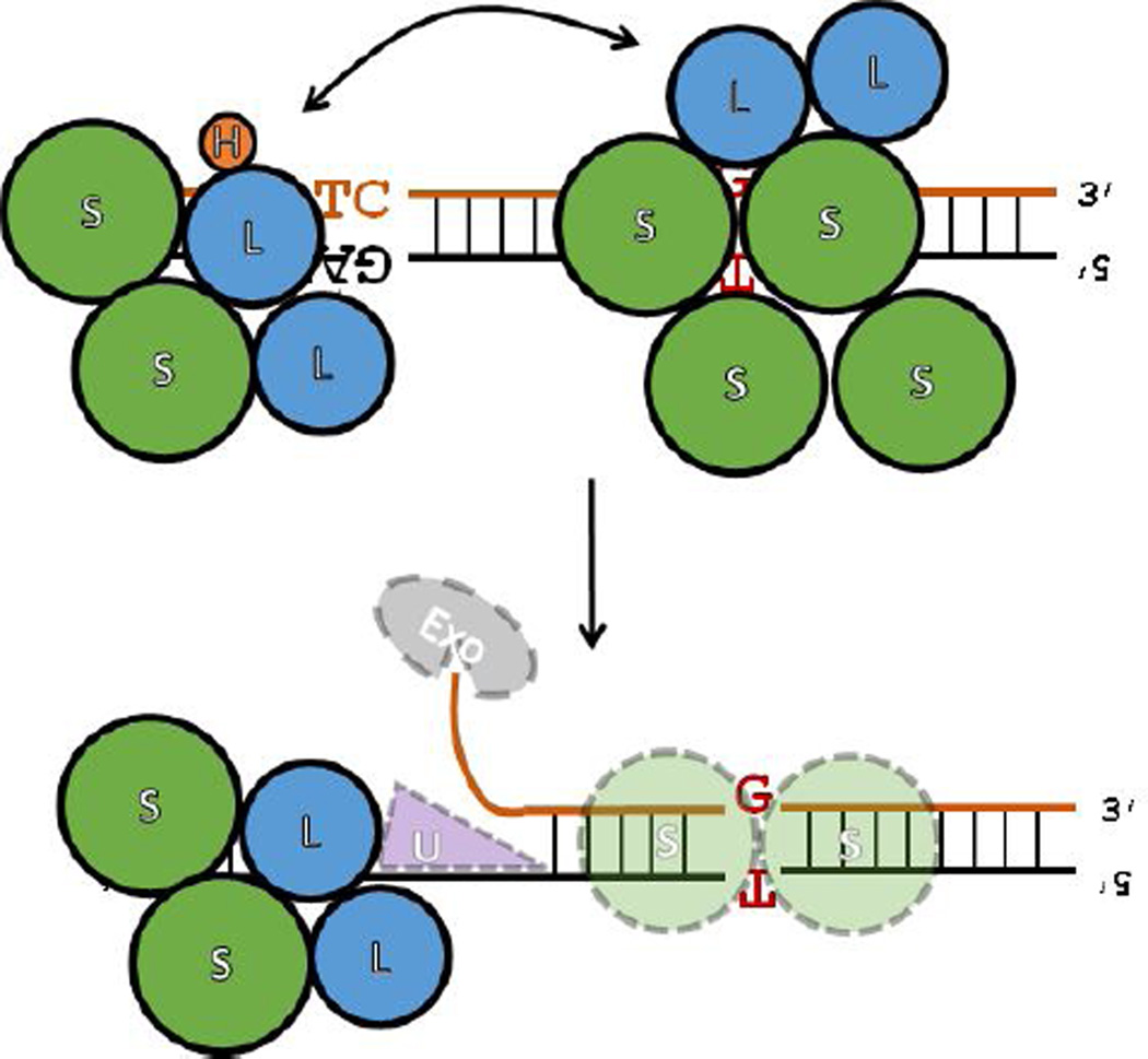 Figure 12