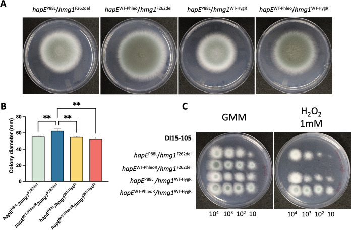 FIG 4