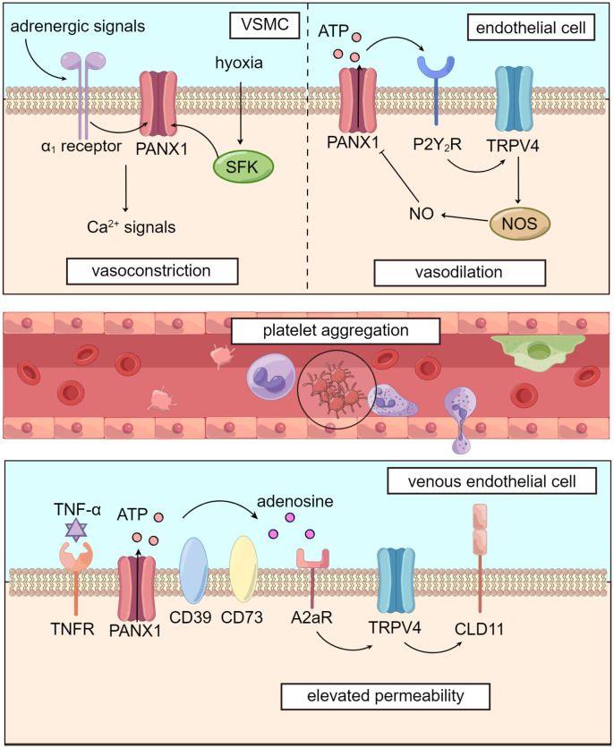 Figure 2