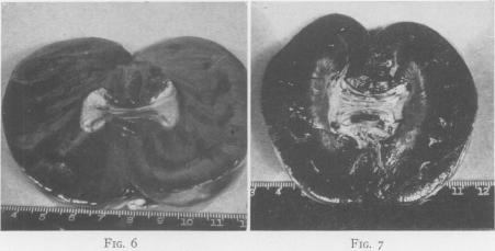 Fig. 6., Fig. 7.