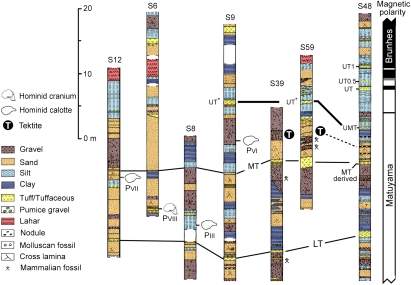 Fig. 3.