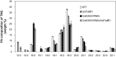 Fig. 7.