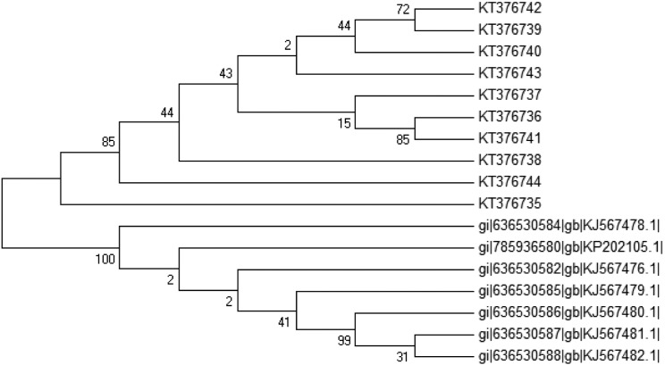 Fig 3