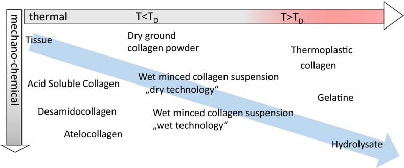 Fig. 12