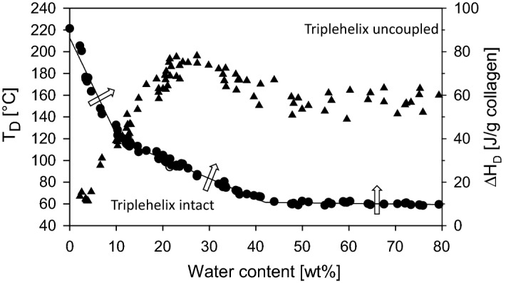 Fig. 9