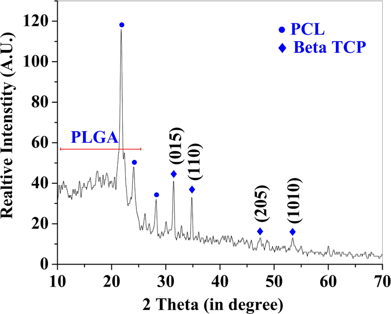 Figure 3: