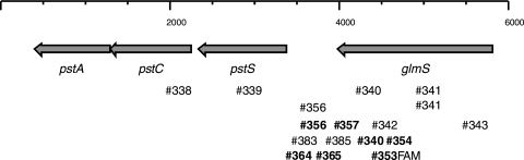 FIG. 1.