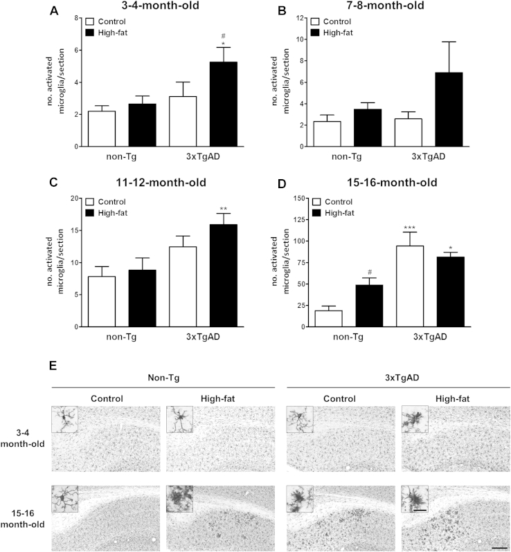 Fig. 7