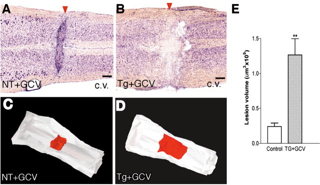 
Figure 10.
