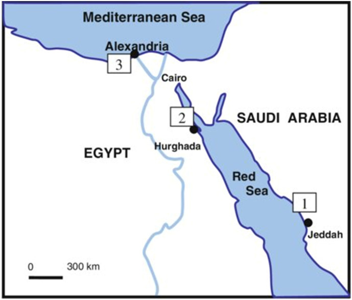 Fig. 1