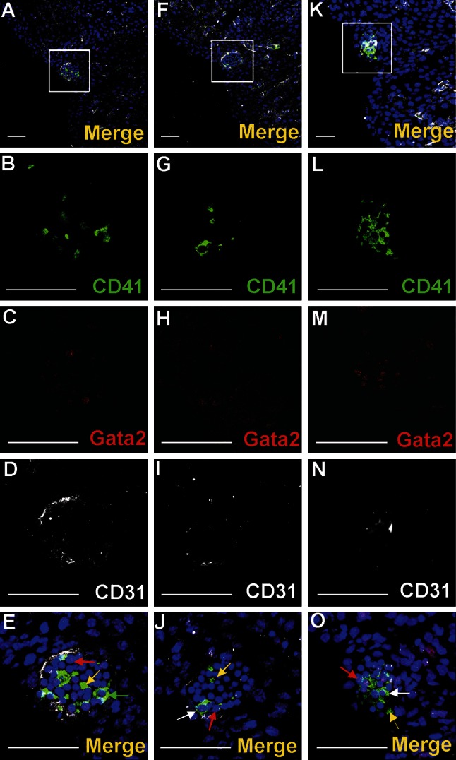 Fig. 4