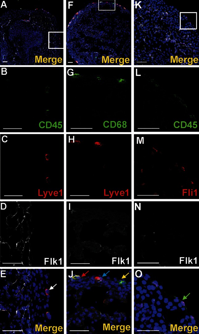 Fig. 9