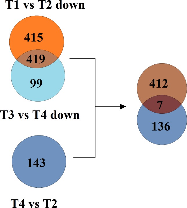 Fig 9