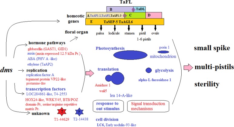 Fig 8