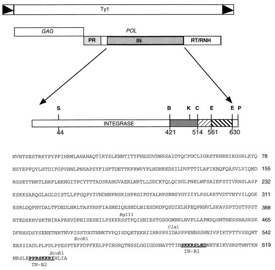 FIG. 1