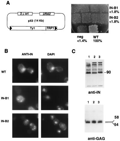 FIG. 4