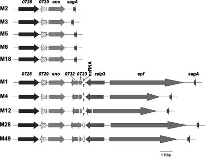 FIG. 1.