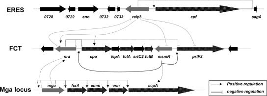 FIG. 6.