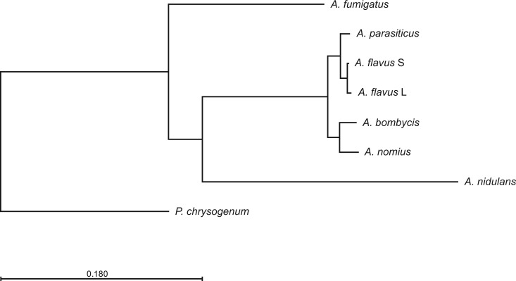 Fig. 1.—