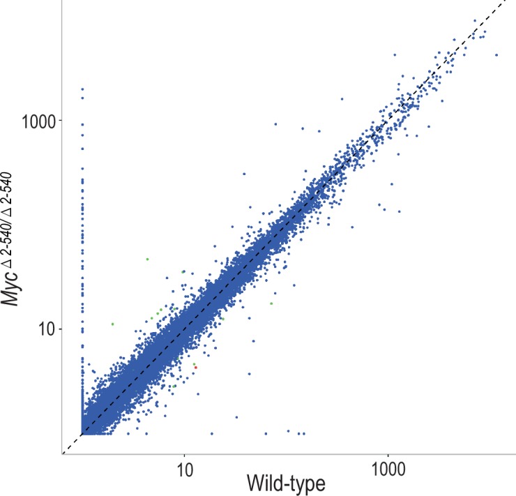 Figure 5—figure supplement 1.