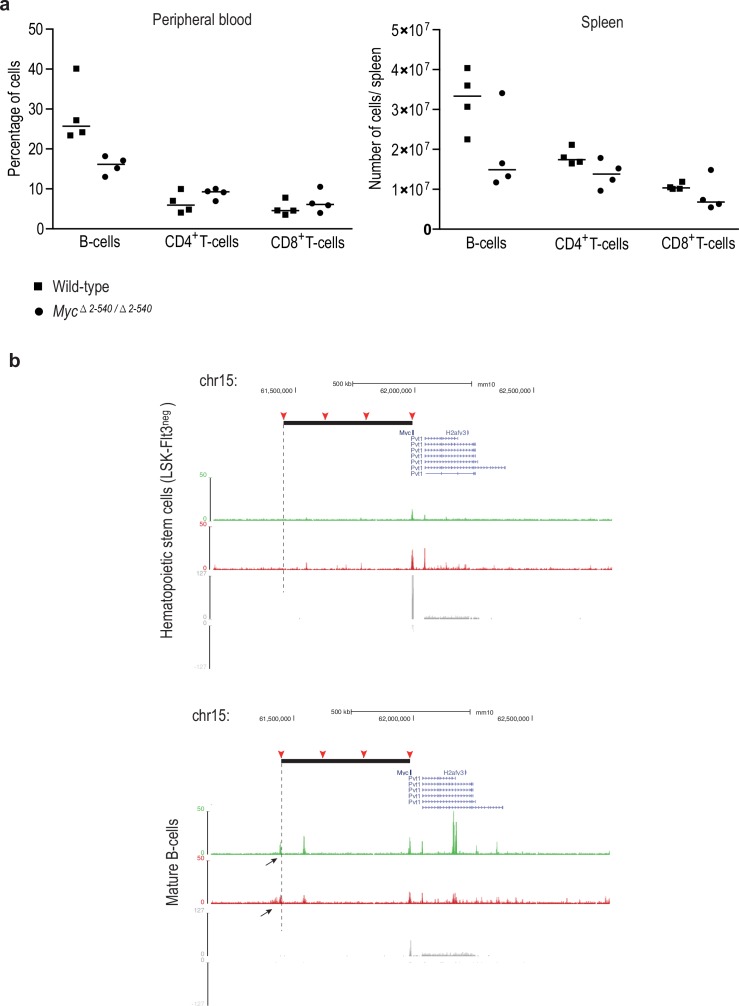 Figure 2—figure supplement 1.