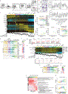 Extended Data Figure 4.