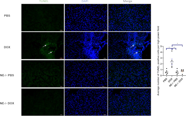 Figure 6