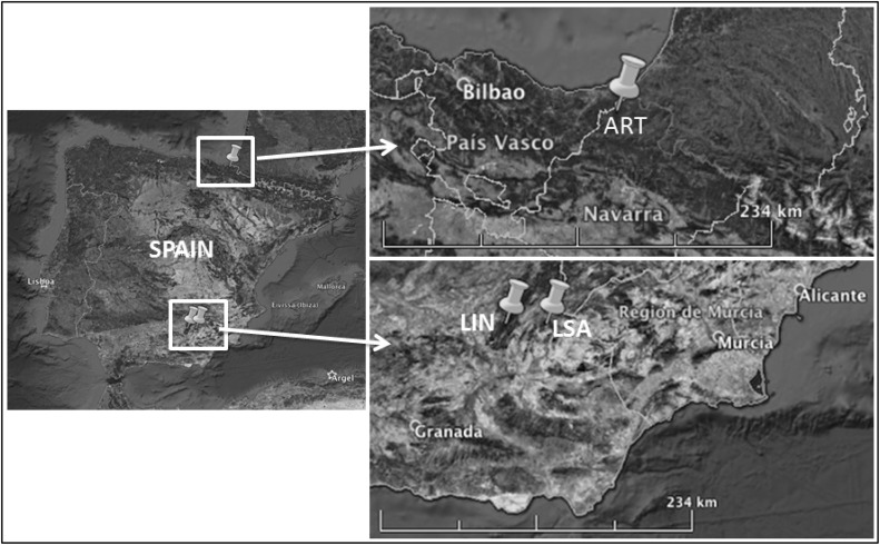 Fig. 1