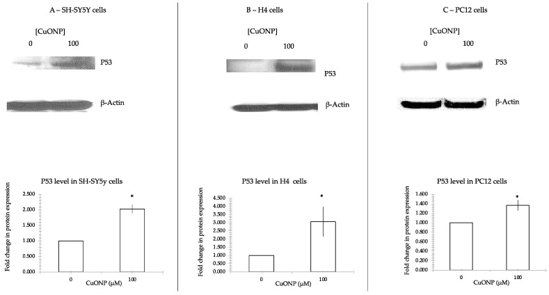 Figure 7