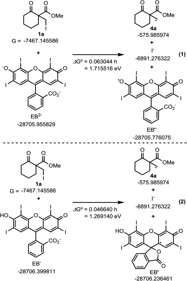 Scheme 5