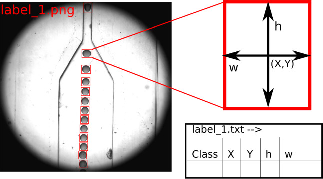 Fig. 2