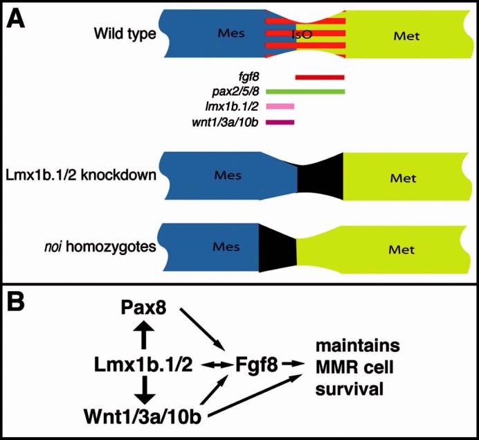 Fig. 10.