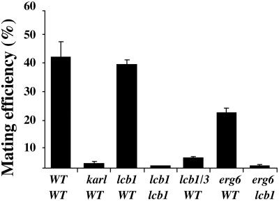 Fig 6.