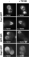 Fig 4.