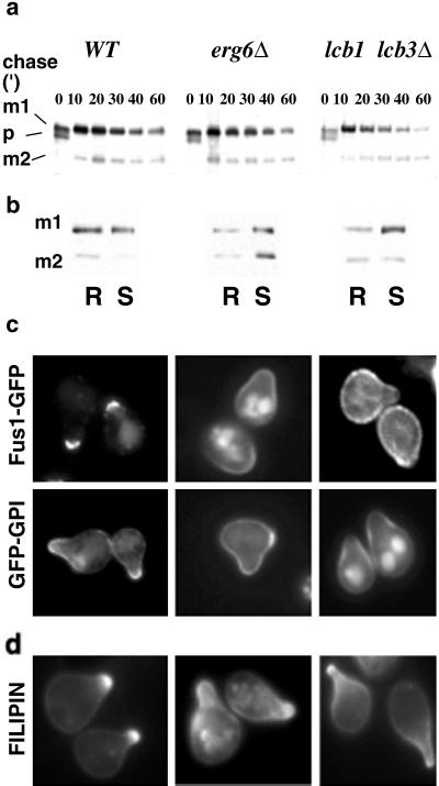 Fig 5.