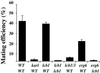 Fig 6.