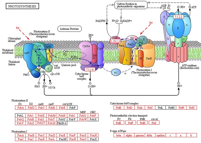 Figure 9.