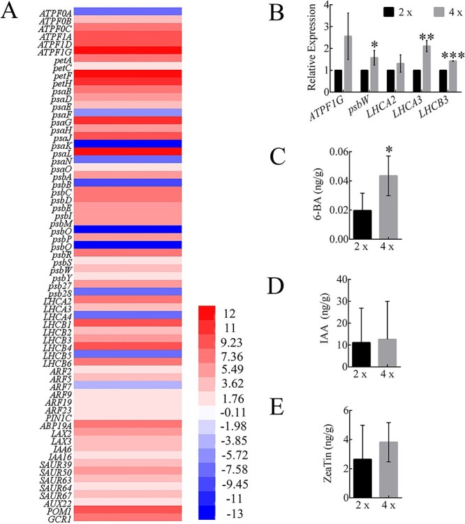 Figure 5.