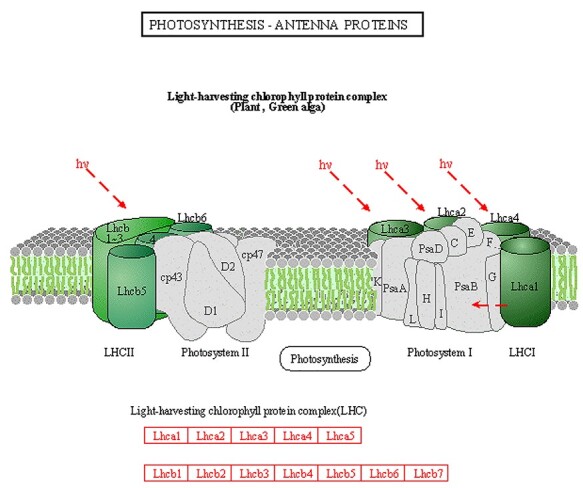 Figure 10.