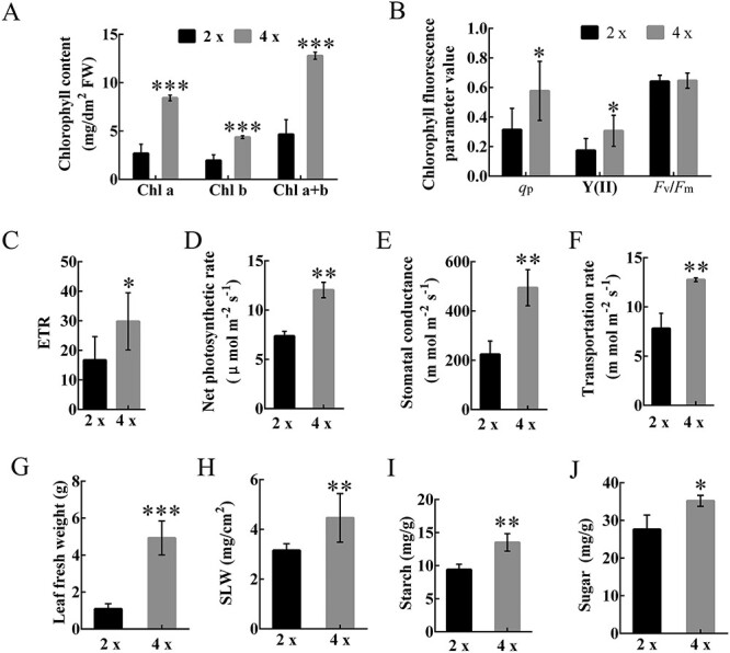 Figure 11.